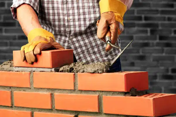 Image article